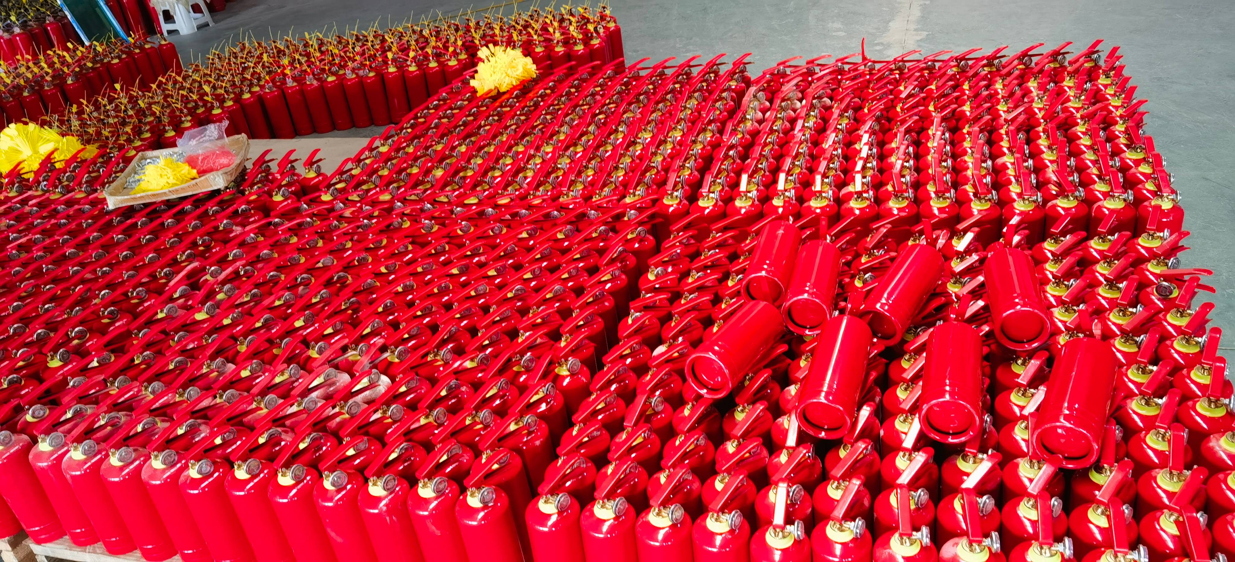 IMG_20231126_112044 IMG_20231126_112044