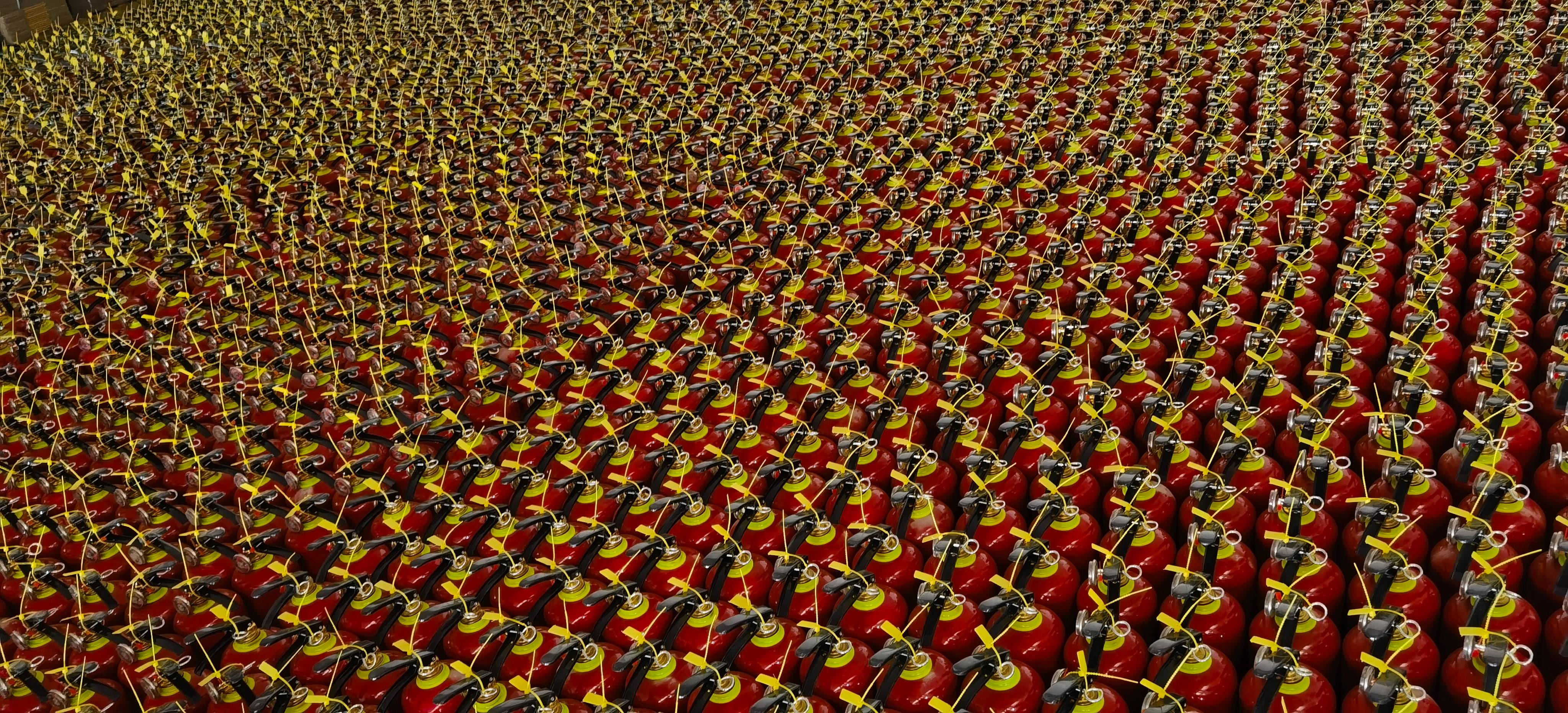 IMG_20231126_112150 IMG_20231126_112150