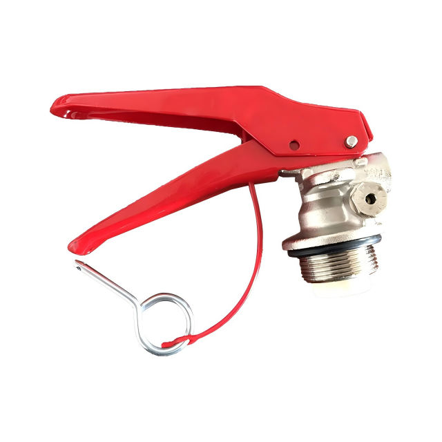 4 ~ 12 كجم CE القياسية عالية الجودة مسحوق جاف طفاية حريق صمام