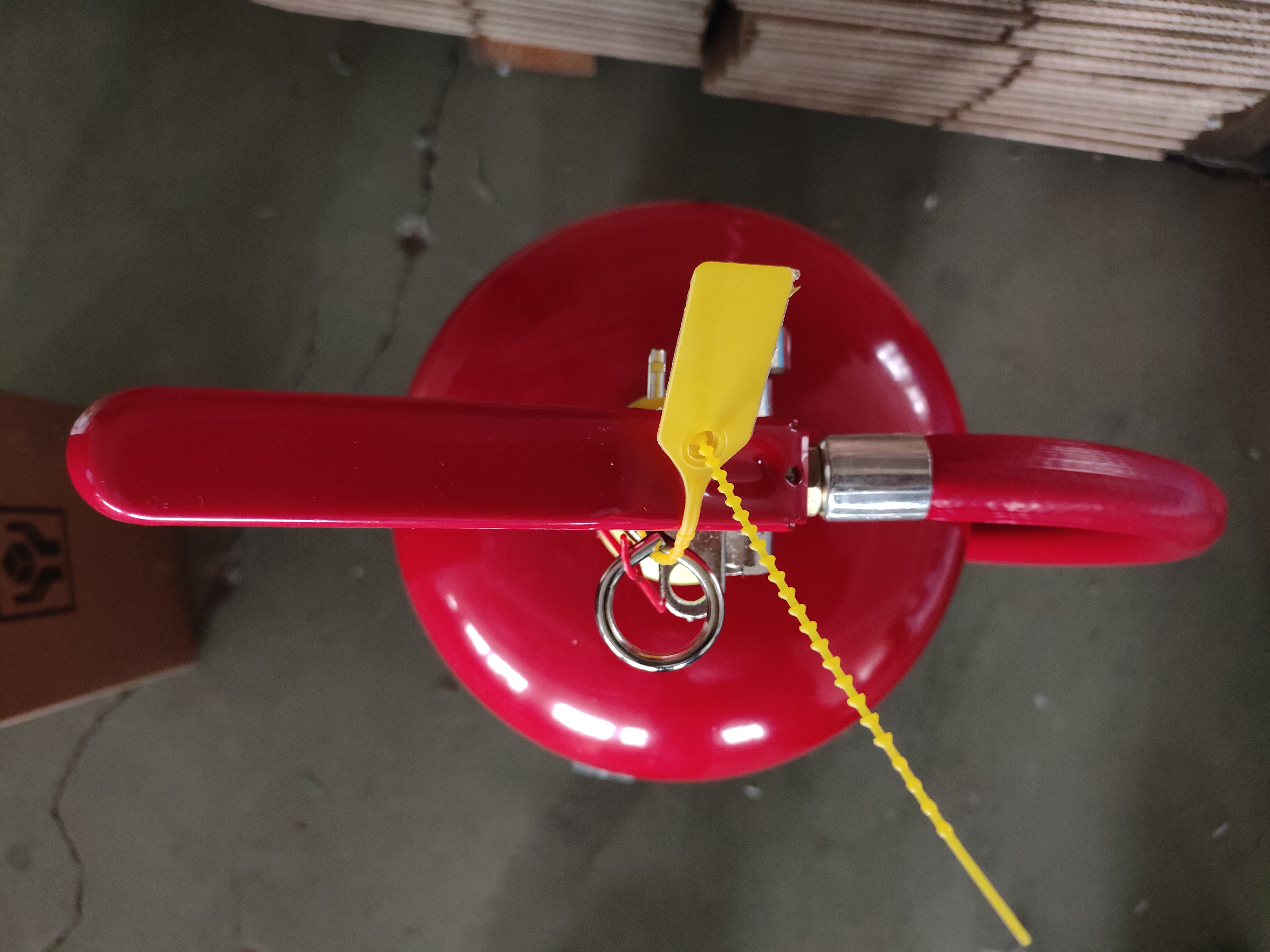 صورة فوتوغرافية_20251231144126_204_594