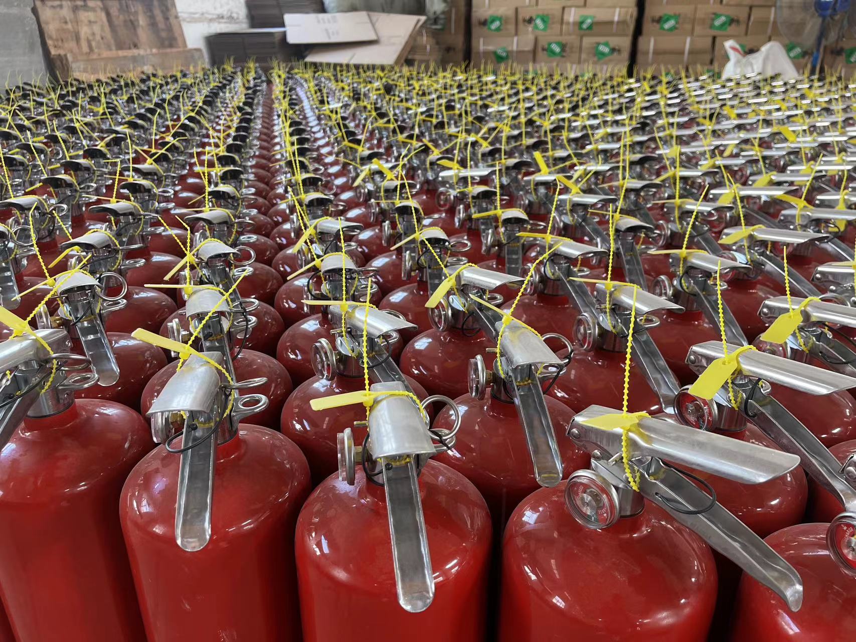 صورة_20231019162232