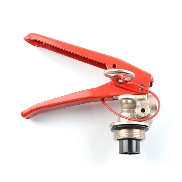 M30 CE القياسية صمام طفاية حريق مسحوق جاف مع صمام الأمان