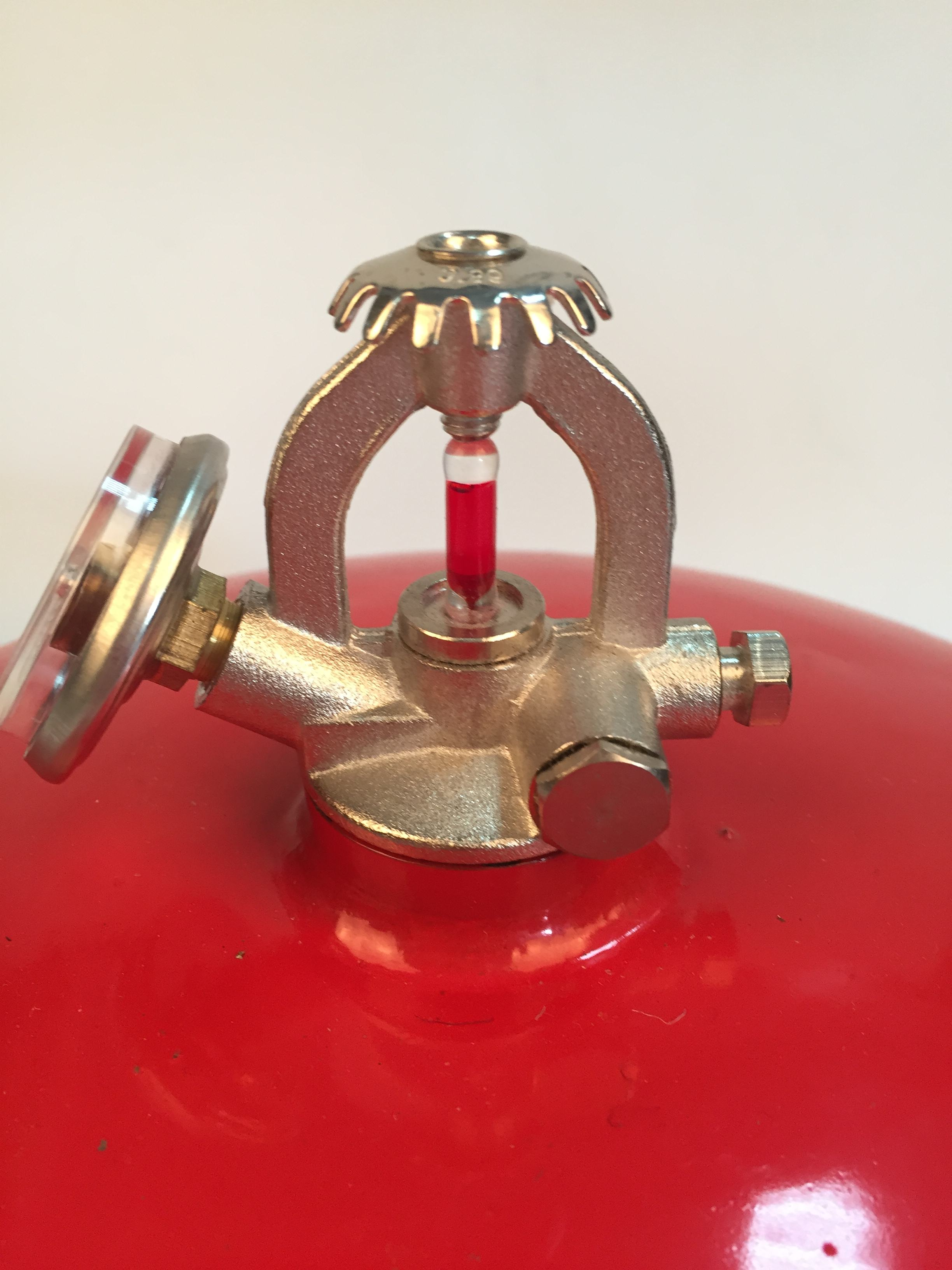 الصورة_20260130110840_1814_117 