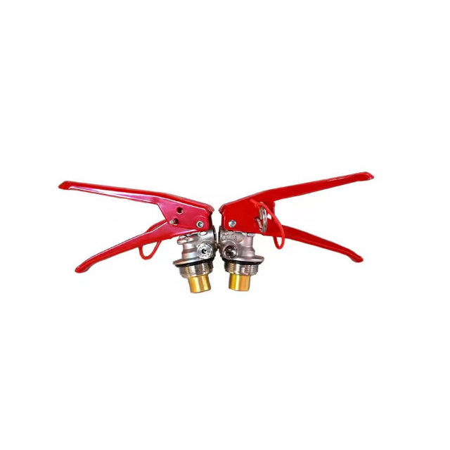 صورة فوتوغرافية_20251224161609_1377_117