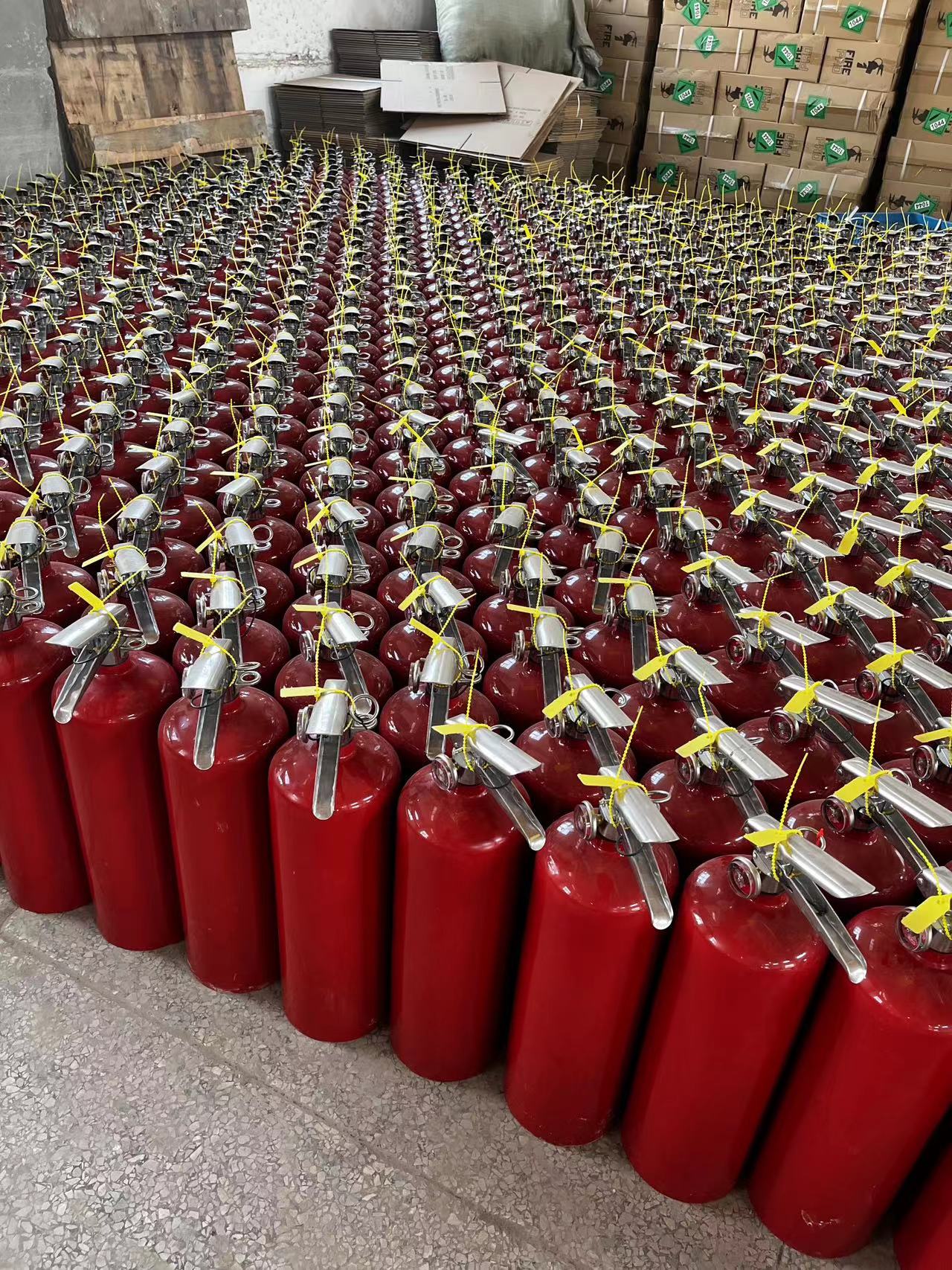 صورة_20231019162227